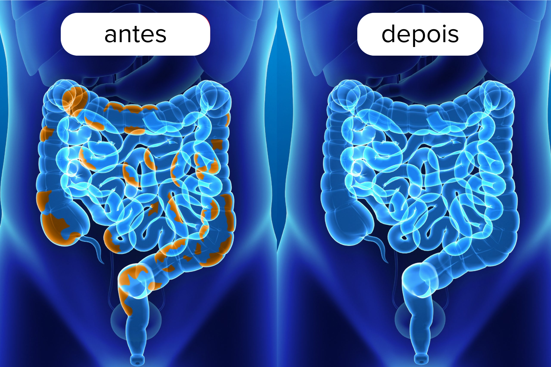 Mikka Midori | Hidrocolonterapia - bem-Estar de Dentro para Fora.